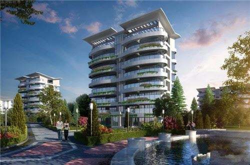 看你潇洒的远去什么歌