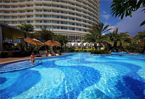 斑马森林盲选唱什么歌